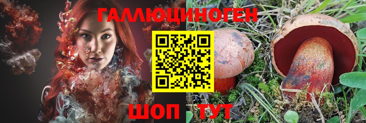 Галлюциногенные грибы Psilocybine cubensis Борисоглебск
